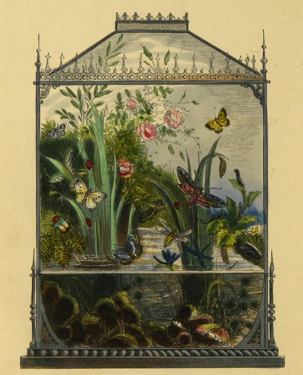 The_butterfly_vivarium-Historic